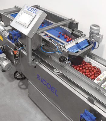 Automatic filling system