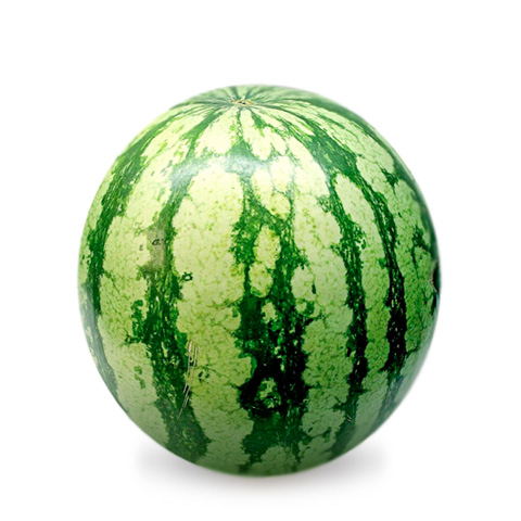 icona prodotto Watermelon Sugar Baby