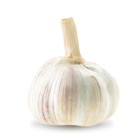 icona prodotto Garlic
