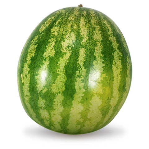 icona prodotto Watermelon