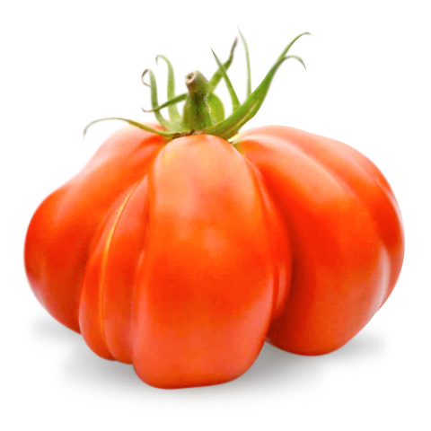 icona prodotto Beefsteak Tomatoes